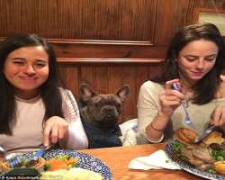 Kaya Scodelario eating non vegetarian food Kaya Scodelario eating non vegetarian food